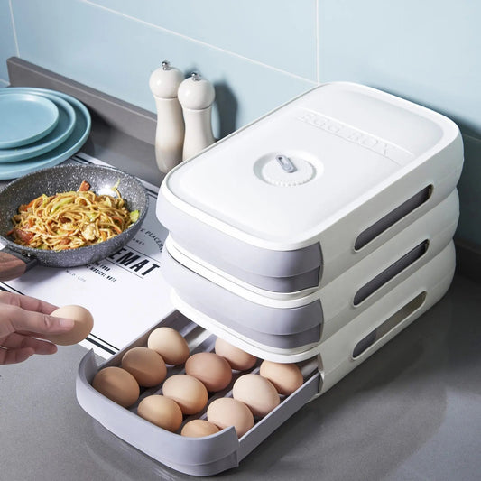Drawer Type Refrigerator Egg Storage Box Keeping Dumpling Holder Household Organizer Drawer Type Case Holder For Kitchen Advibe Studio
