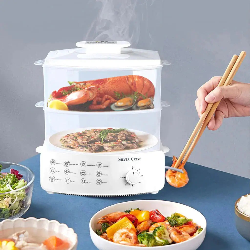 Electric Steamer and Defroster Advibe Studio